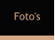 Foto's